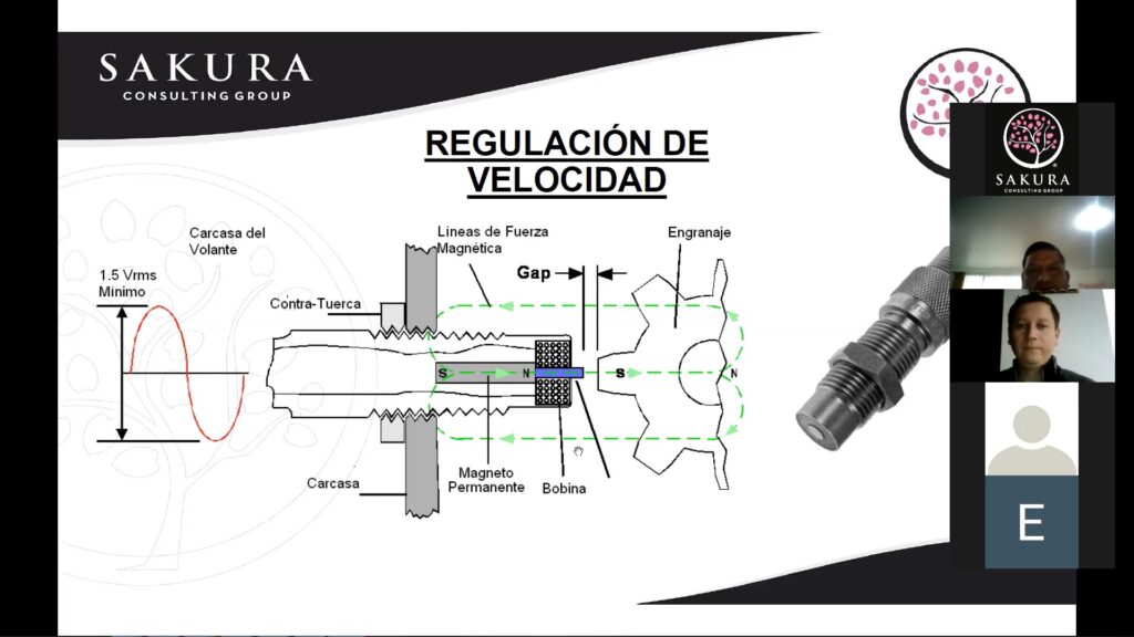 pantallazo3 (1)